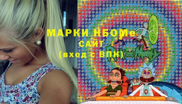 винт Няндома