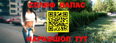 прущие грибы Канаш