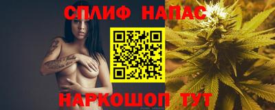 прущие грибы Канаш