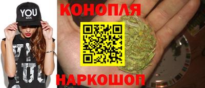 прущие грибы Канаш