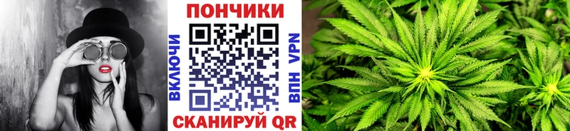 МАРИХУАНА индика закладки Прокопьевск