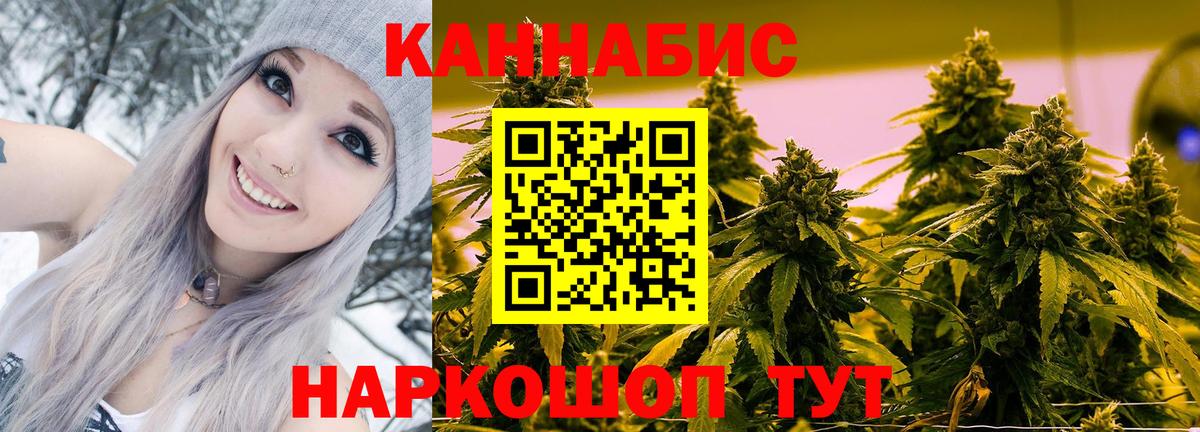 Прокопьевск  Конопля AK-47  Вход с VPN  Канабис планчик  Марихуана план 
